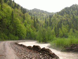 украина